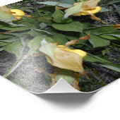 6 x 6 Foto drucken (Ecke)