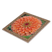 6"x 6" Keramik Tile mit atemberaubendem Orange Zin Fliese (Seite)