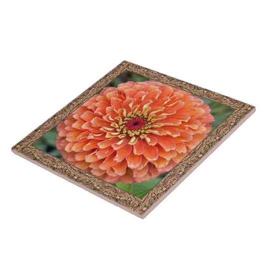 6"x 6" Keramik Tile mit atemberaubendem Orange Zin Fliese (Seite)