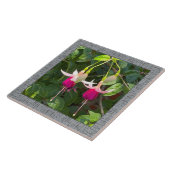 6"x 6" Keramik Tile mit Atemberaubender Magenta Fu Fliese (Seite)
