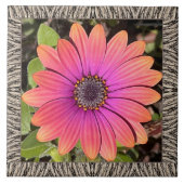 6"x 6" Keramik Tile mit Brillant Gazania Fliese (Vorderseite)
