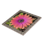 6"x 6" Keramik Tile mit Brillant Gazania Fliese (Seite)