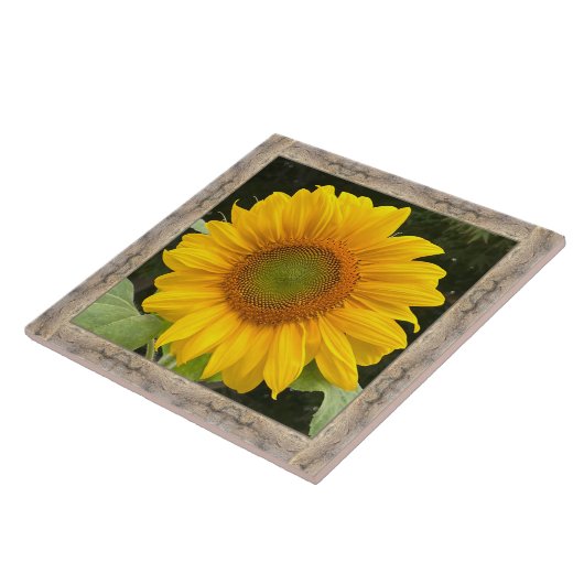 6"x 6" Keramik Tile mit fröhlicher Gelbblüte Fliese (Seite)