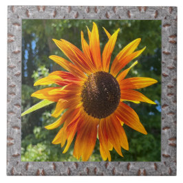 6"x 6" Keramik Tile mit fröhlicher Orangenblume Fliese