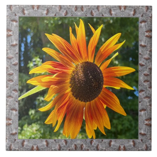 6"x 6" Keramik Tile mit fröhlicher Orangenblume Fliese (Vorderseite)