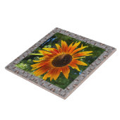 6"x 6" Keramik Tile mit fröhlicher Orangenblume Fliese (Seite)