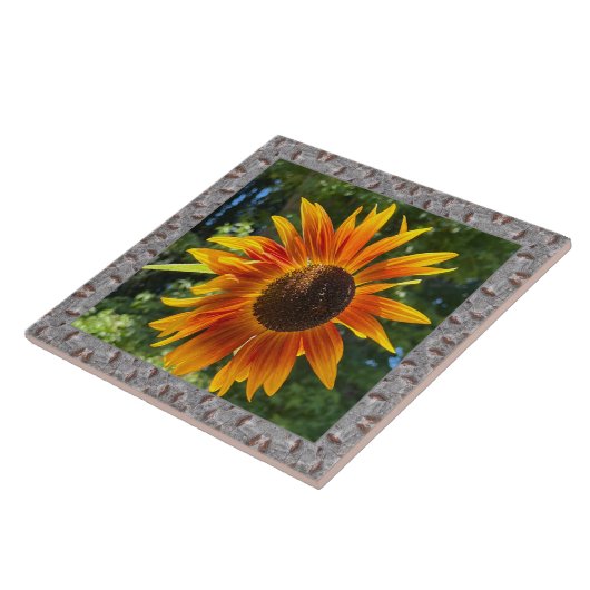 6"x 6" Keramik Tile mit fröhlicher Orangenblume Fliese (Seite)