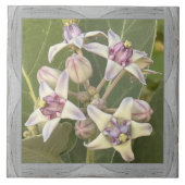 6"x 6" Keramik Tile mit liebevoller Crown-Blume Fliese (Vorderseite)