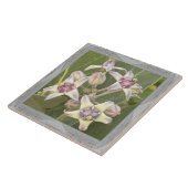 6"x 6" Keramik Tile mit liebevoller Crown-Blume Fliese (Seite)