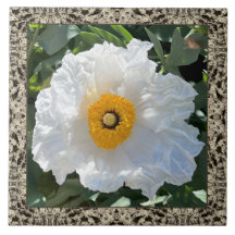 6"x 6" Keramik Tile mit Matilija Poppy
