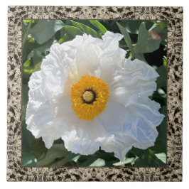6"x 6" Keramik Tile mit Matilija Poppy Fliese
