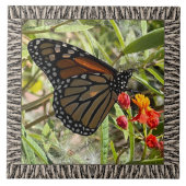 6"x 6" Keramik Tile mit Monarch auf Milkwede Fliese (Vorderseite)