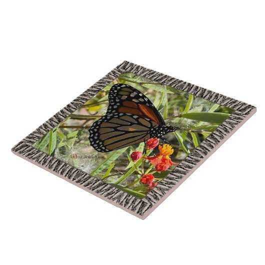 6"x 6" Keramik Tile mit Monarch auf Milkwede Fliese (Seite)