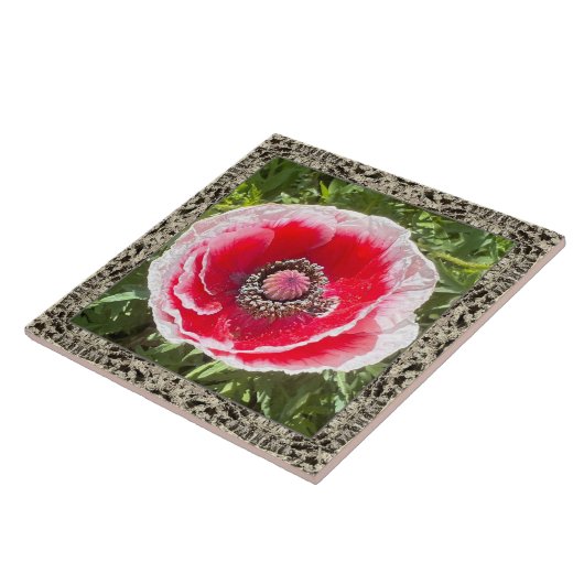 6" x 6" Keramik Tile mit Rot und Weiß Mohn Fliese (Seite)