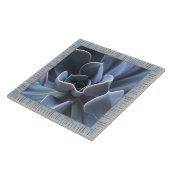 6"x 6" Keramik Tile mit schönem Sukkulat Fliese (Seite)