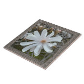 6"x 6" Keramik Tile mit schönem weißem Magnolium Fliese (Seite)