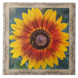 6"x 6" Keramik Tile mit Susie's Sonnenblume Fliese
