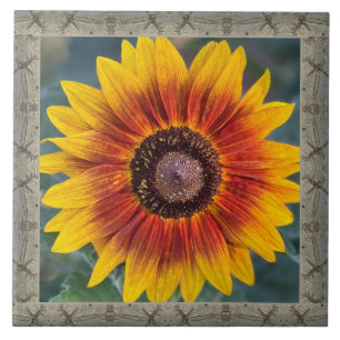 6"x 6" Keramik Tile mit Susie's Sonnenblume Fliese