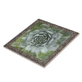 6"x 6" Keramik Tile mit wunderschönem Aussehen Fliese (Seite)