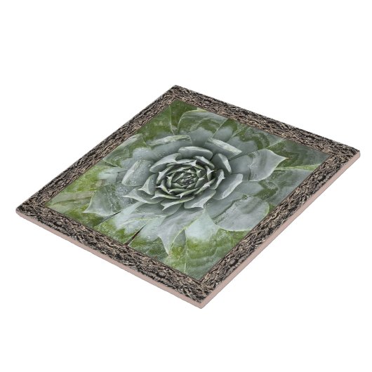 6"x 6" Keramik Tile mit wunderschönem Aussehen Fliese (Seite)