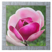 6"x 6" Keramik Tile mit wunderschöner Magenta Magn Fliese (Vorderseite)