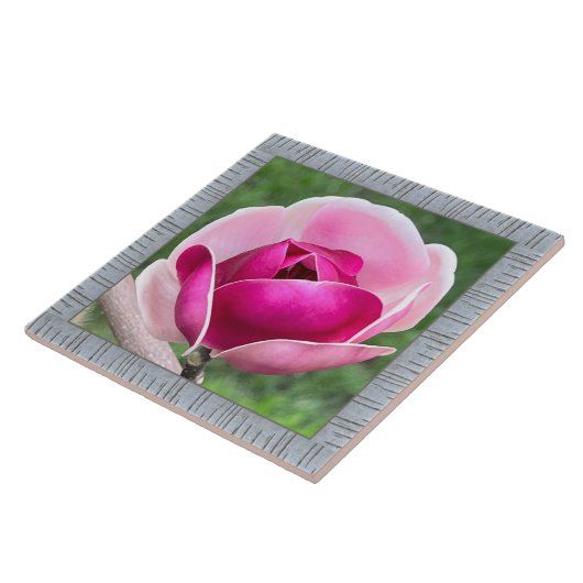 6"x 6" Keramik Tile mit wunderschöner Magenta Magn Fliese (Seite)