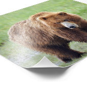 6 Zoll x 4 Zoll, Kodak Berufliches Foto Paper (Sat (Ecke)