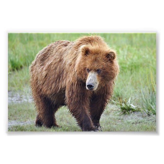 6 Zoll x 4 Zoll, Kodak Berufliches Foto Paper (Sat (Vorne)