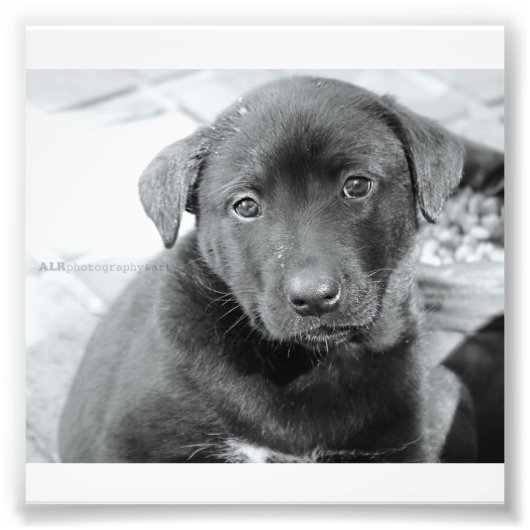 6 Zoll x 4 Zoll, Kodak Berufliches Foto Paper (Sat (Vorne)