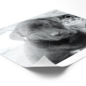 6 Zoll x 4 Zoll, Kodak Berufliches Foto Paper (Sat (Ecke)