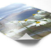 6x4 Foto Alaskan Wildblumen (Ecke)
