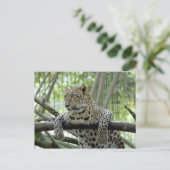 6x4 Vorlage für Postkarten (Stehend Vorderseite)