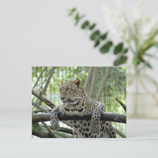 6x4 Vorlage für Postkarten (Stehend Vorderseite)