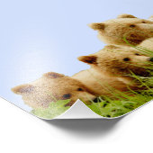 6x6 Kodak Beruflich Foto Paper (Satin) (Ecke)