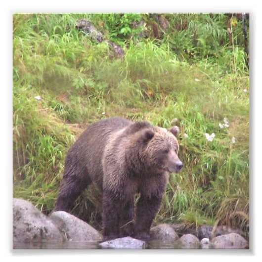 6x6 Kodak Beruflich Foto Paper (Satin) (Vorne)