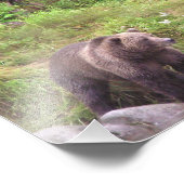 6x6 Kodak Beruflich Foto Paper (Satin) (Ecke)