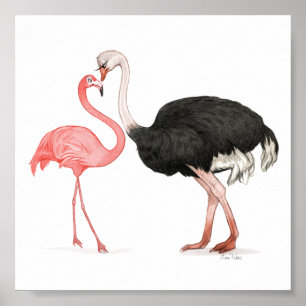 6x6 Liebesvögel Print Poster