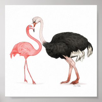 6x6 Love Birds Print Poster