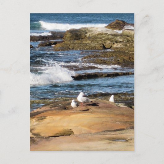 #7001 Beach Postkarte (Vorderseite)