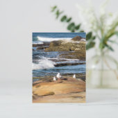 #7001 Beach Postkarte (Stehend Vorderseite)