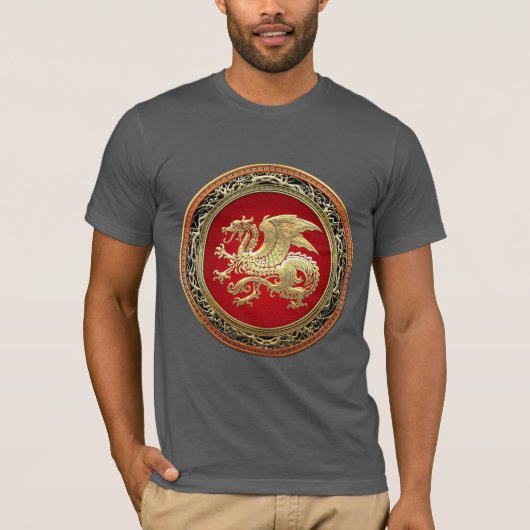 [700] Isländischer Drache, Landvættir [Gold] T-Shirt (Vorderseite)