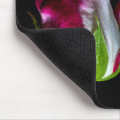 7019-Rot-geklemmte weiße Rose Mousepad (Ecke)