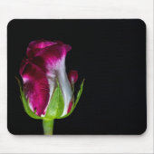 7019-Rot-geklemmte weiße Rose Mousepad (Vorne)