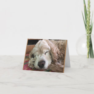 *70. BIRTHDAY* HA HA (FUNNY DOG SPASS) KARTE