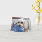 *70. BIRTHDAY* HA HA (FUNNY DOG SPASS) Karte (Gelbe Blume)