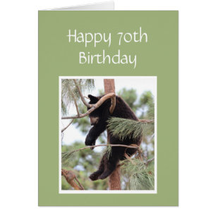 70. Geburtstag genug Ihr müde Bär ist müde