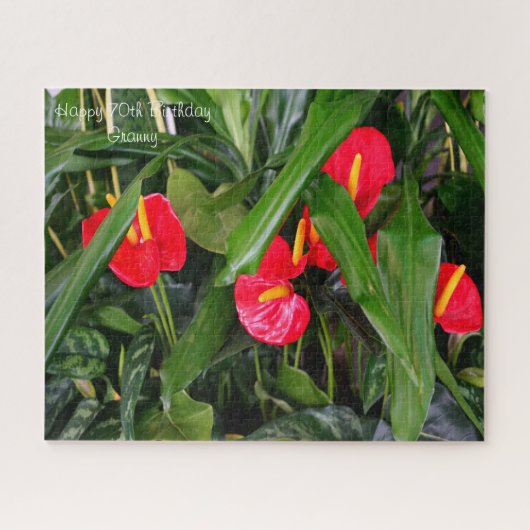 70. Geburtstag Granny. Puzzle (Horizontal)