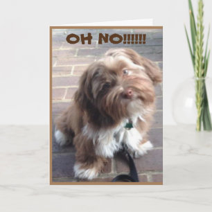 **70. GEBURTSTAG** OH KEINE SAGEN PUPPY KARTE