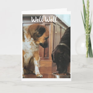**70. GEBURTSTAG** SPASS VON DEN HUNDEN! KARTE