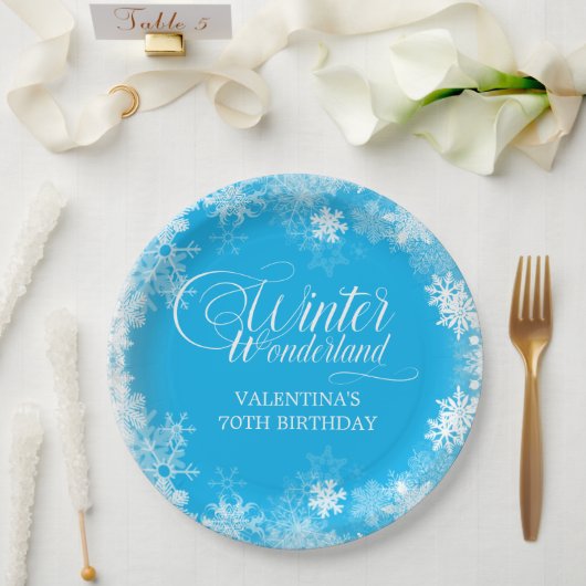 70. Geburtstag Winterwonderland Schneeflocke Blau Pappteller (Hochzeit)